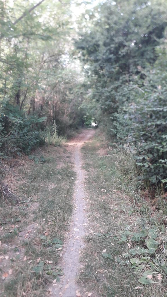 La Settembrina Gravel