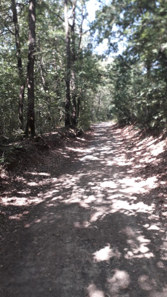 La Settembrina Gravel