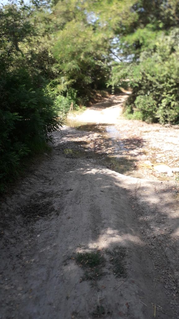 La Settembrina Gravel